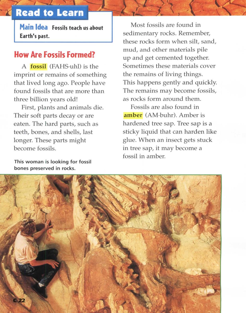 V Read to Learn Main Idea Fossils teach us about Earth's past. A fossil (FAHS-uhl) is the imprint or remains of something that lived long ago.