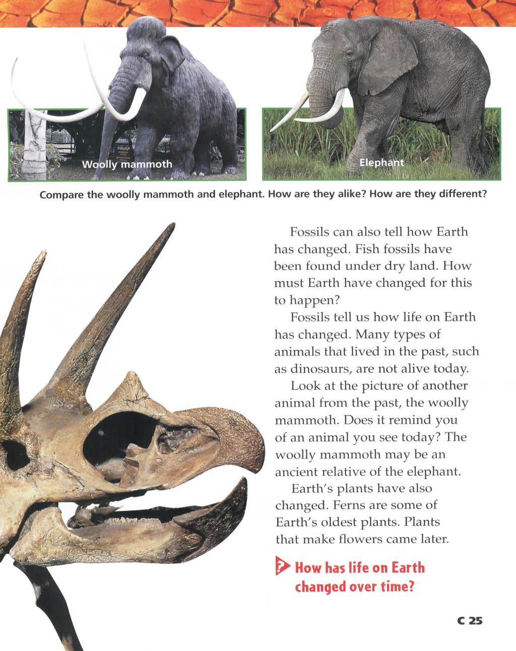 Compare the woolly mammoth and elephant. How are they alike? How are they different? Fossils can also tell how Earth has changed. Fish fossils have been found under dry land.