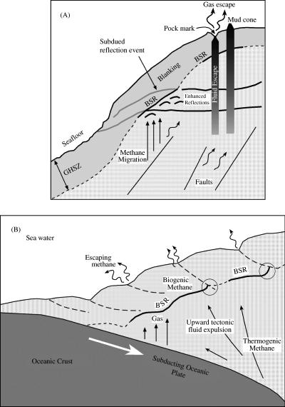 Schematic representation showing the gas hydrate-related features along (A) passive continental margins. (B) Active continental margins. Both cartoons have a vertical exaggeration of approximately 50.
