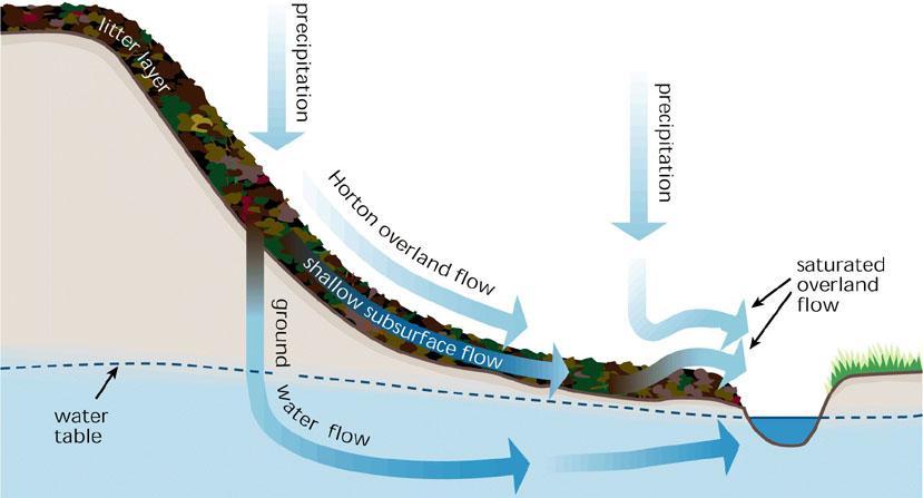 Runoff generation processes (1) When rain and meltwater reach the surface of the ground, they encounter a filter that is of great importance in determining the path by