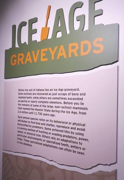 From The Rostrum, Volume 27, Number 1, January, 2018: Back to the Pleistocene: The Ice Age Graveyards Exhibit at the Indiana State Museum Michael Hutchins On Saturday, September 14 th, 2017, I took