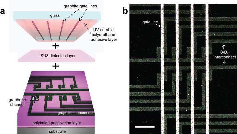 Supplementary Figure S8 Vertical, 3D integration by assembling layers of the monolithic graphene-graphite device components.
