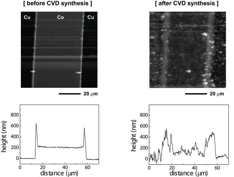 SUPPLEMENTARY INFORMATION Supplementary Figure S1 AFM images of Co catalyst pattern before (left) and after CVD synthesis (right).