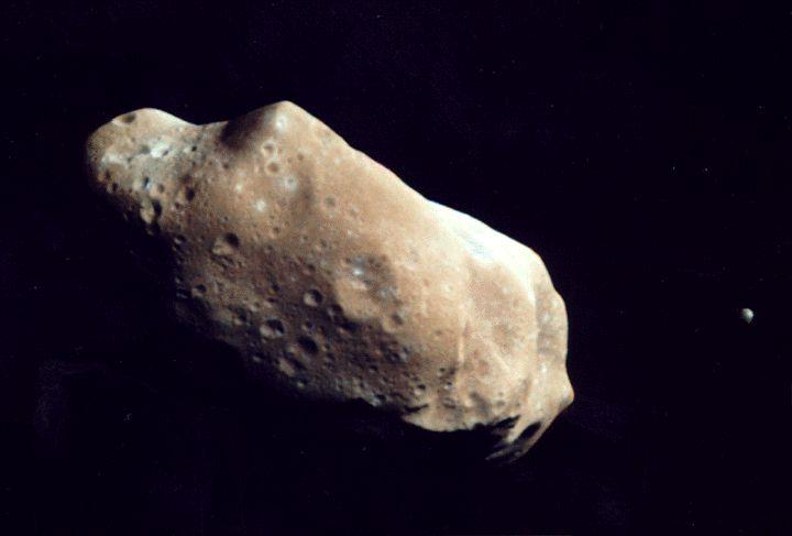 Are Asteroids Primitive? Ida (56 km diam.) and its moon Dactyl (1.5 km diam.