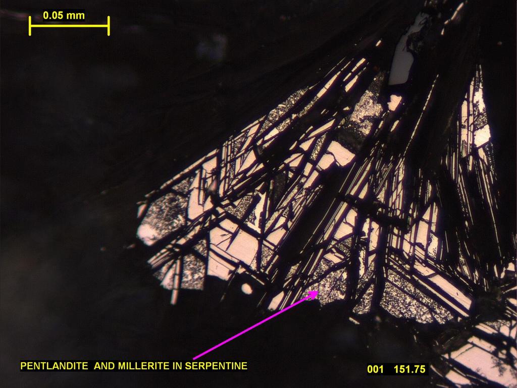 Thin Section showing Primary Pentlandite altered to Millerite.