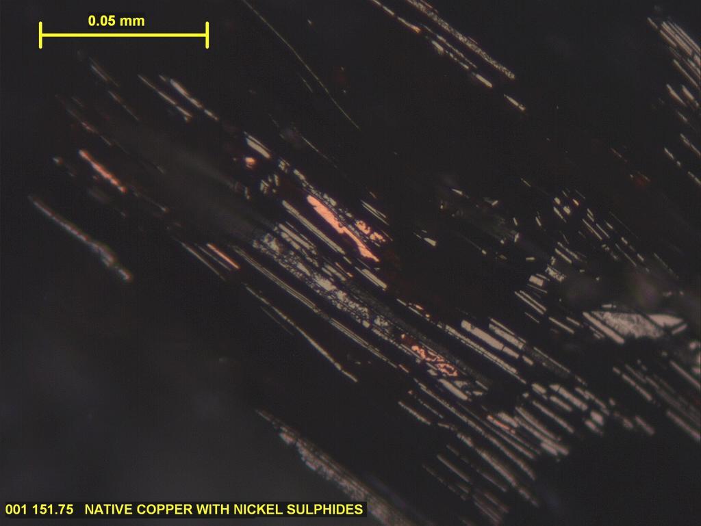 Plate 2 from thin section Nickel Sulphides, Millerite and Pentlandite with Native