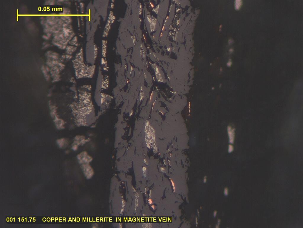 Plate 3 from thin section Vein Hosting Magnetite-Millerite and Copper.