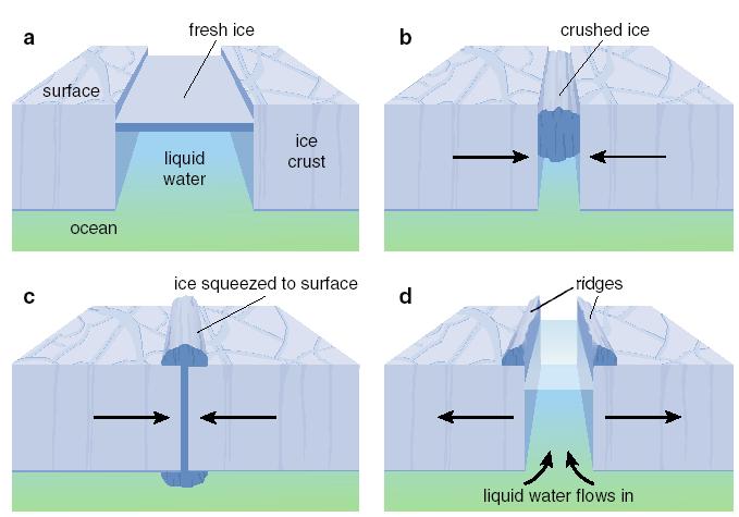 Ridge formation: Tidal squeezing model Diurnal tides open and close cracks in ice While