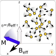 Principe de l analyse RMN H Molécules placées sous un haut champ magnétique continu (300Mhz=7 Tesla) Quelques spins (ppm) s orientent le