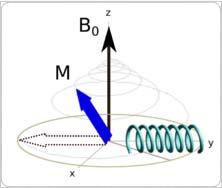 300MHz si 7 Tesla de champ) Les protons passent à un niveau de plus haute d énergie Une bobine (perpendiculaire au champ) mesure le