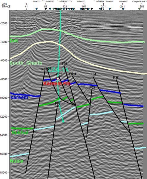 Figure (8): Interpreted seismic profile 1372. It is dip section and takes the NE-SW direction.