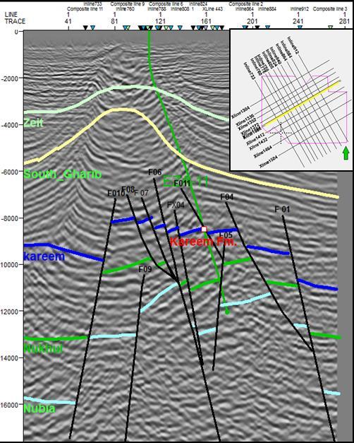 Figure (10): Interpreted seismic profile 1388. It is dip section and takes the NE-SW direction.