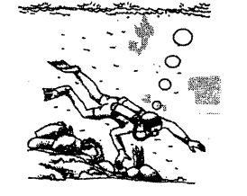 SULIT 17 22. iagram 16 shows a diver releasing air bubbles as he dives. Rajah 16 menunjukkan seorang penyelam mengeluarkan udara semasa menyelam.