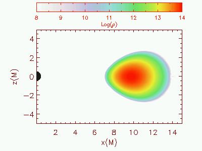Dynamical spacetime evolution of BH+self-gravitating torus Δx=Δz=0.05M, N x xn z =600x600, 0 x,z 30M Spacetime: 4th-order finite differencing; Hydro: Roe solver, MC rec.