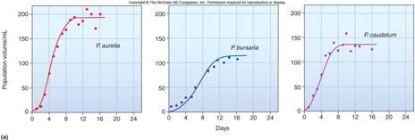 Competitive exclusion principle Gause worked with 3 protists Paramecium aurelia, Paramecium bursaria, and