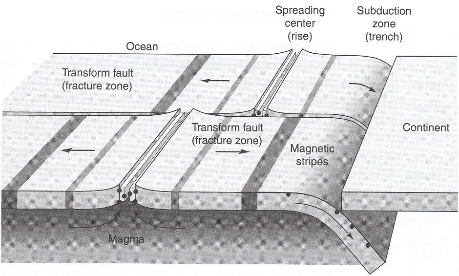 single mid ocean ridge into many smaller divergent faults. (?) Figure 4.