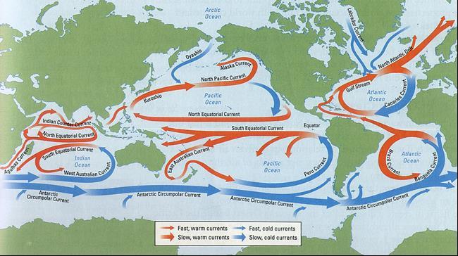 Ocean Currents Help DISTRIBUTE large amounts of solar ENERGY from the EQUATOR to the COLDER poles.