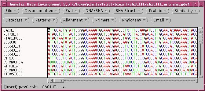 xample: volution of Gene http://home.cc.umanitoba.