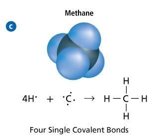 Single Covalent Bonds (cont.