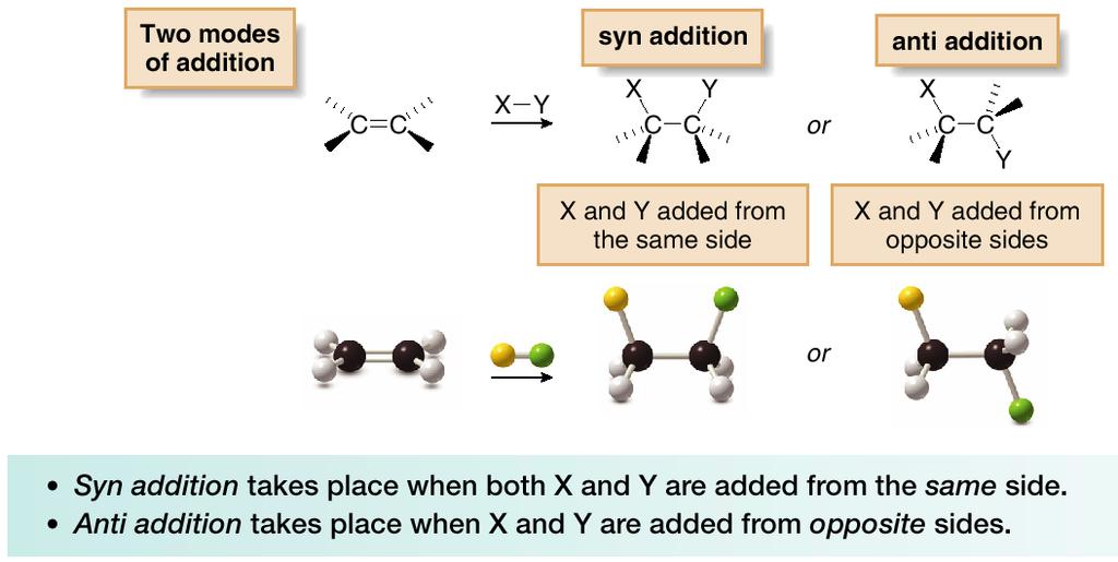 Because the carbon atoms of a double bond are both trigonal planar, the elements of X and Y can be added to