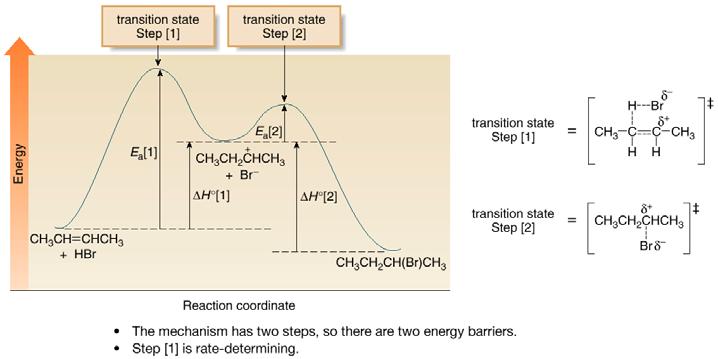 In the representative energy diagram below, each step has its own energy barrier with a transition state energy maximum. Since step 1 has a higher energy transition state, it is rate-determining.