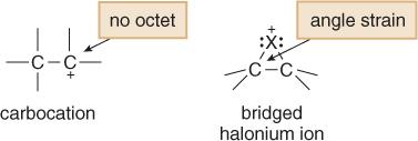 Halogens add to π bonds because halogens are polarizable.