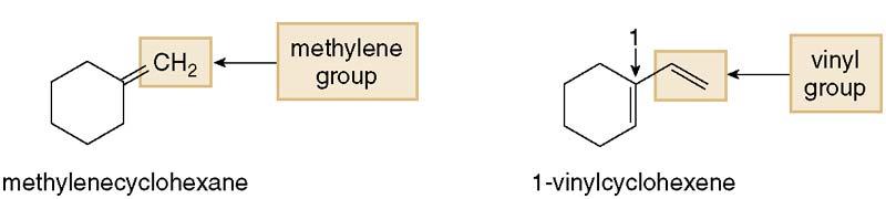 11 Some alkene or alkenyl substituents have common names.