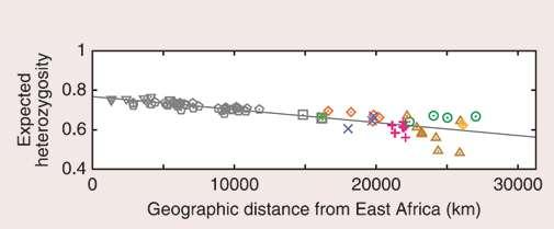 microsatellite alleles averaged across loci #