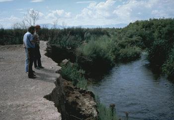 Greater runoff and higher in-stream