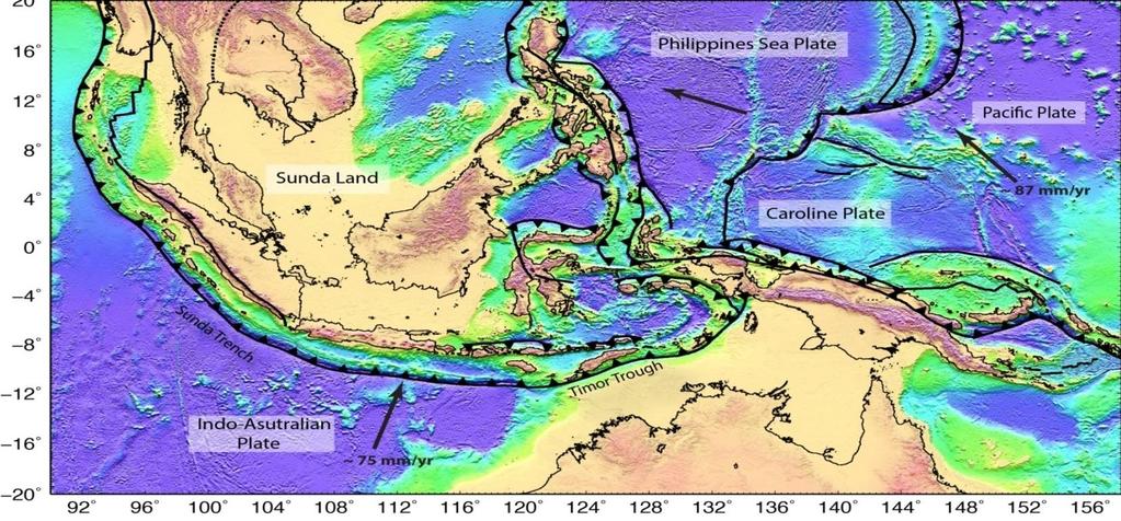 Regional Tectonic of Indonesia Intersection of 3 major plates, wide range of tectonic