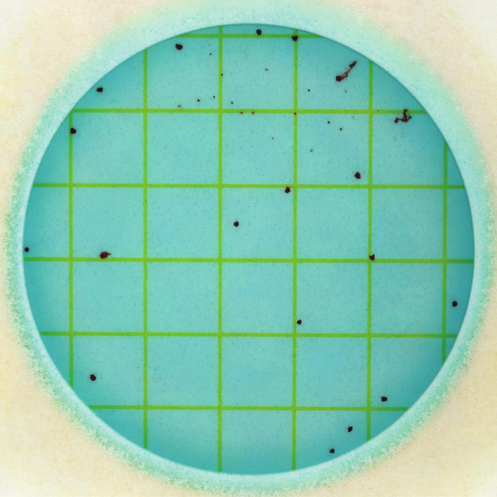 Count Plate or from trapped air within the sample.