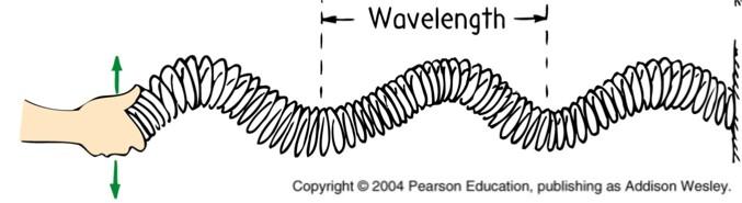 ! Transverse: Types of Waves!