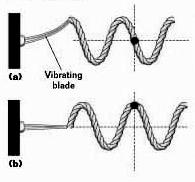 Use the diagram to the left to define the following terms: Amplitude: Crest: Trough: Wavelength: Displacement: Speed of a