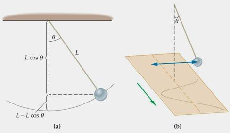The Simple Pendulum A simple pendulum consists of a mass m (of negligible size) suspended by a string or rod of length