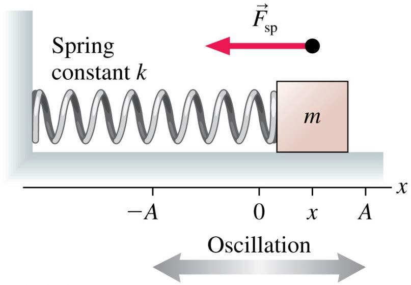 Dynamics of Simple Harmonic Motion Consider a mass m oscillating on a horizontal spring with no friction.