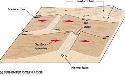 At transform margins, two features are found, the transform fault and the fracture zone.