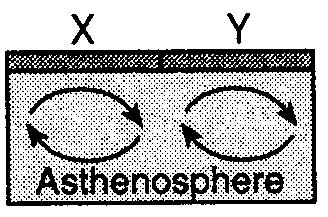 Which cross-sectional diagram of Earth s asthenosphere best shows the convection currents that would cause crustal plate X to drift away from crustal plate Y? A) B) C) D) 31.