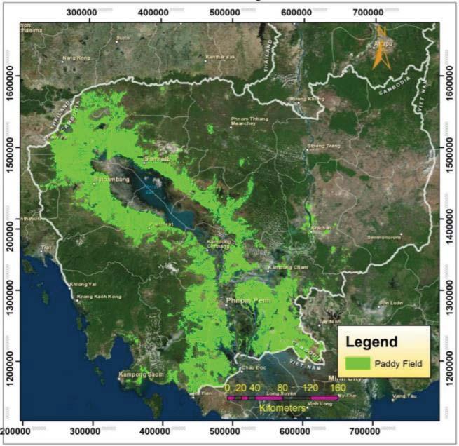 Paddy Area Distribution Paddy Area Distribution in Cambodia for Wet Season (2014) Deshapriya et al.
