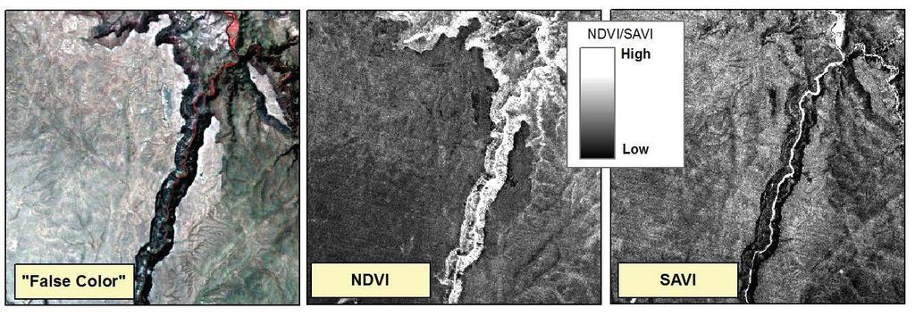 Soil Adjusted Vegetation Index (SAVI) Modification of the NDVI to correct the influence of soil brightness when vegetative cover is low; SAVI is structured similar to the NDVI but with the addition