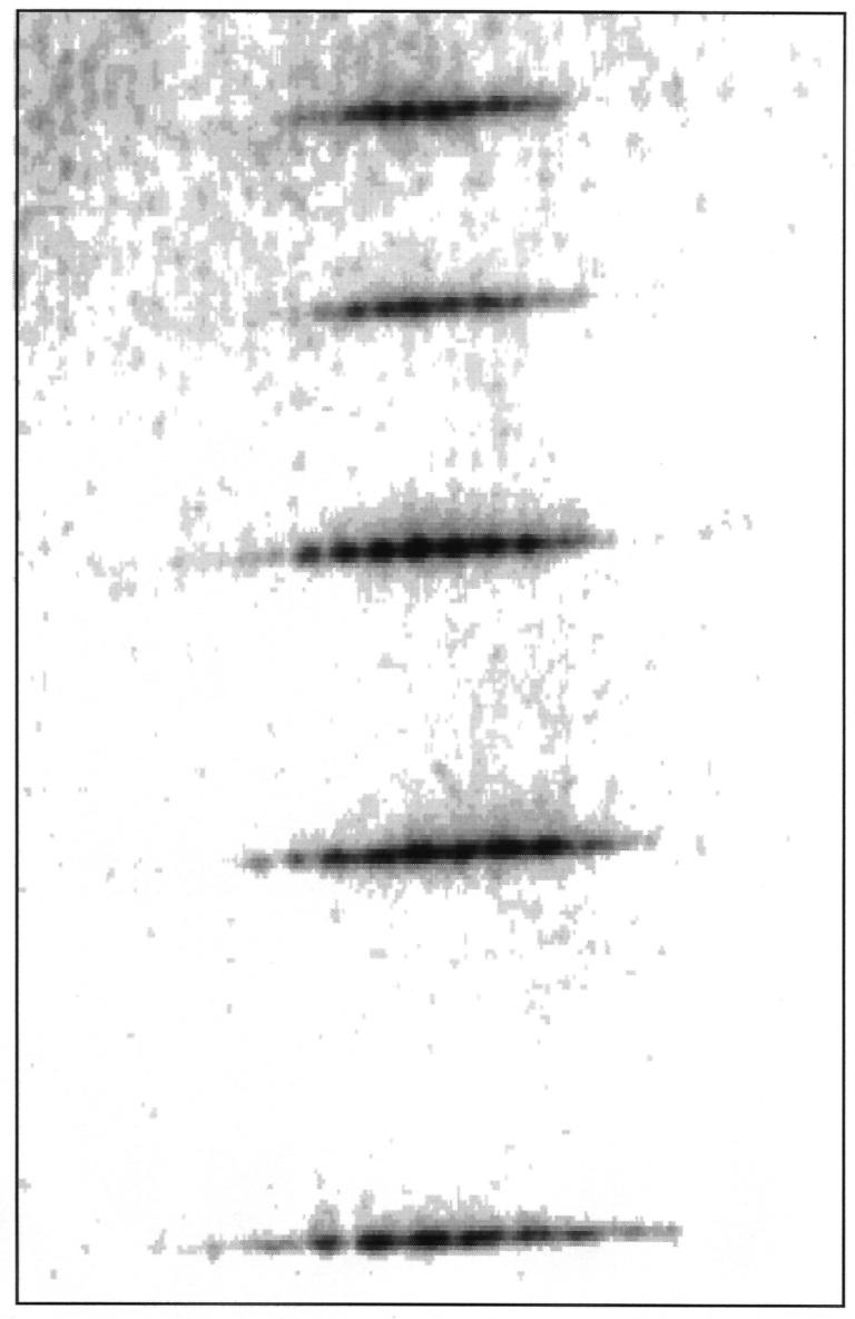 A twodimensional raw image of harmonics produced under the same conditions as Fig. 9 is shown in Fig. 10.