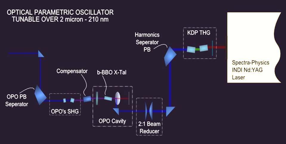 2.1 Tunable Laser A tunable optical parametric oscillator (OPO) from U-Oplaz was utilized as the laser of excitation. The OPO was pumped with the 3 rd harmonic of the Nd:YAG laser at 354.