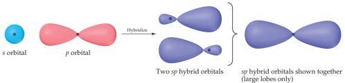 Hybrid orbitals correlate with molecular geometry 3. Energy level of hybrid orbitals is between that of AO s 4.