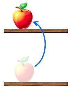 Prelecture quesoon 1 and Clicker QuesOon An apple is ini%ally sisng on the bo`om shelf