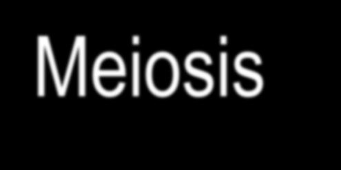 Meiosis A Source of Distinction Why do you