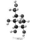8.4 Bonding in Carbon Compounds 8-27 8.5 Shapes of Molecules The shape of a molecule influences many of its properties including taste and smell.