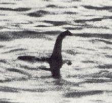 The Bermuda Triangle - Unit 6 Worksheets - Reader 5 More Reading Worksheet 1 There are many mysteries that have remained unsolved. One such mystery is about the Loch Ness Monster.