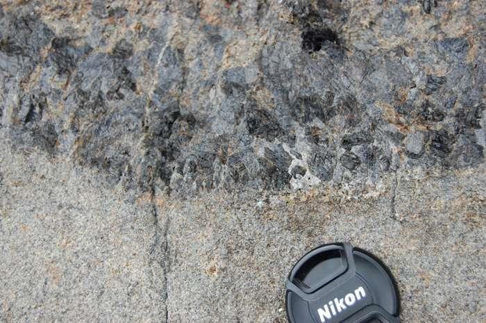 Gabbro Figure 6. An unusually coarse dike of gabbro within finer-grained rocks.