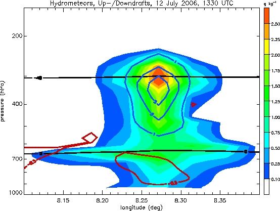 The black line indicates the location of the cross section shown in Figure 3b. (b) Mass concentration of hydrometeors along the cross section depicted by the black line in Figure 3a.