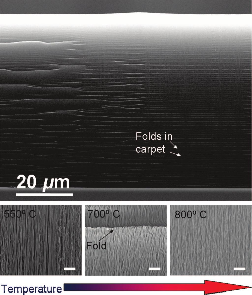 14044 J. Phys. Chem. C, Vol. 112, No. 36, 2008 Pint et al. Figure 3. Side-view scanning electron microscopy (SEM) image of a carpet grown from 1 Å Mo deposited on 5 Å Fe at 700 C.