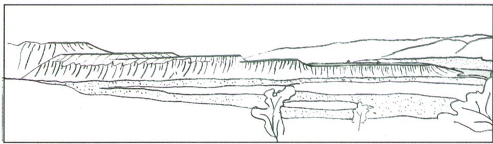 LAVI AND AVOUAC: ACTIVE FOLDING OF FLUVIAL TERRACES 5745 a H I I I 1 I I. 1 I Ipl! I '- --I c Plate 5.